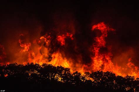 feuer algarve|Wildfires in Portugal spread in the Algarve with 1,400。